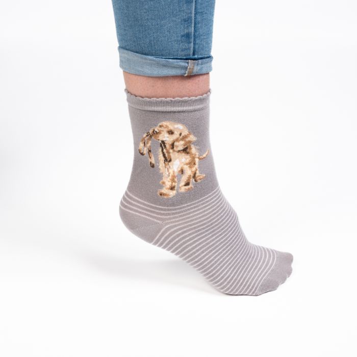 WRENDALE DOG SOCKS