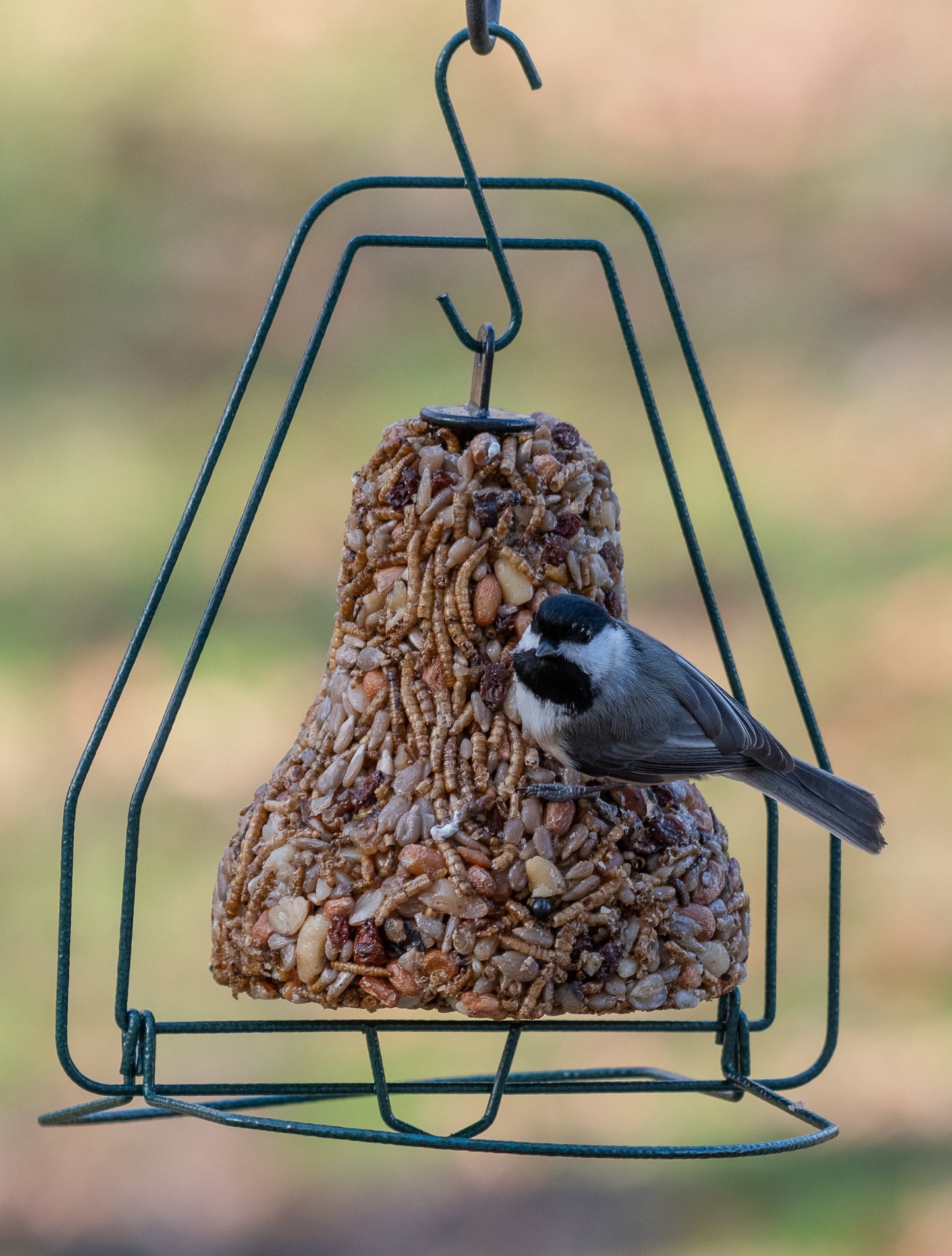 SEED BELL HANGER