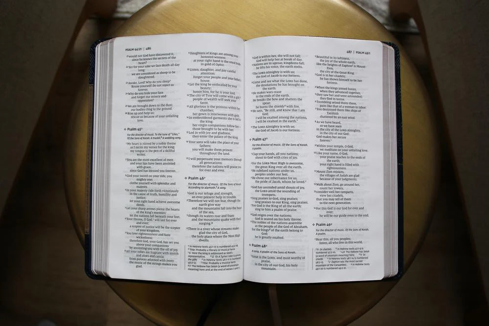 NIV THINLINE BIBLE BROWN