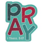 TEAL PRAY MAGNET
