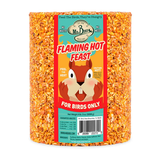 FLAMING HOT FEAST CYLINDER LG