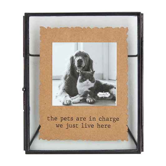 PET IN CHARGE GLASS FRAME