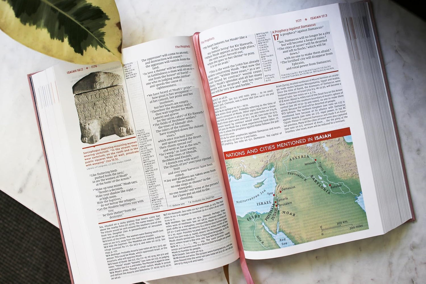 NIV STUDY BIBLE PINK