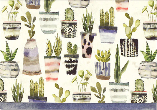 WATERCOLOR SUCCULENTS NOTE CARDS